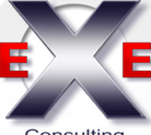 eXe Consulting Rotterdam